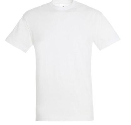 T-SHIRT VAL BLANC